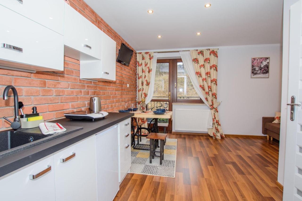 זקופאנה Apartamenty Na Galicowce מראה חיצוני תמונה
